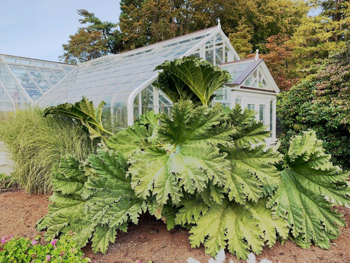 Wärmepumpenversicherung