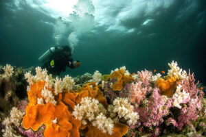 Hurghada Schnorcheln